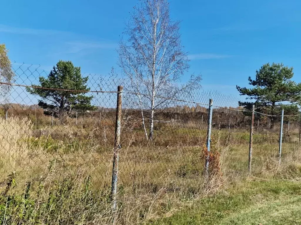 Участок в Алтайский край, Первомайский район, Лесные поляны СНТ ул. ... - Фото 2
