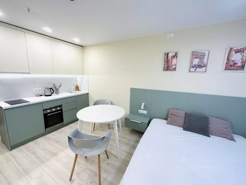 Студия Санкт-Петербург ул. Матроса Железняка, 2 (24.6 м) - Фото 2