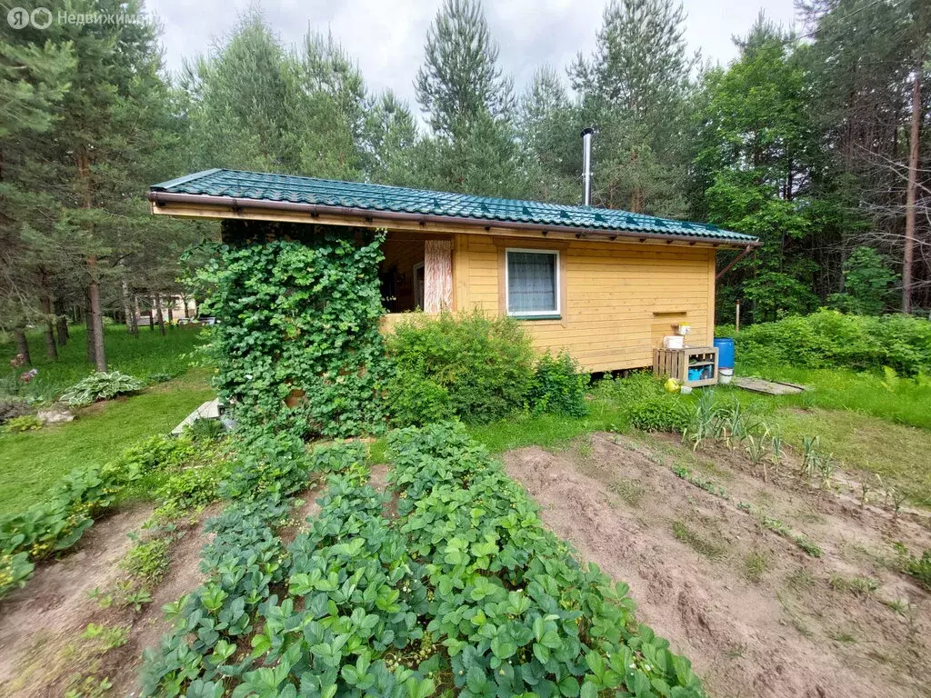 Дом в Пасеговское сельское поселение, деревня Кучумовщина (30 м) - Фото 1