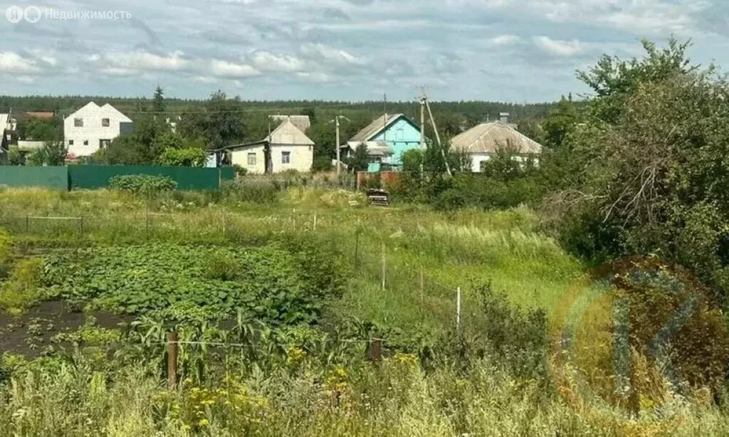 Участок в Саки, СНТ Химик-1 (4 м) - Фото 1