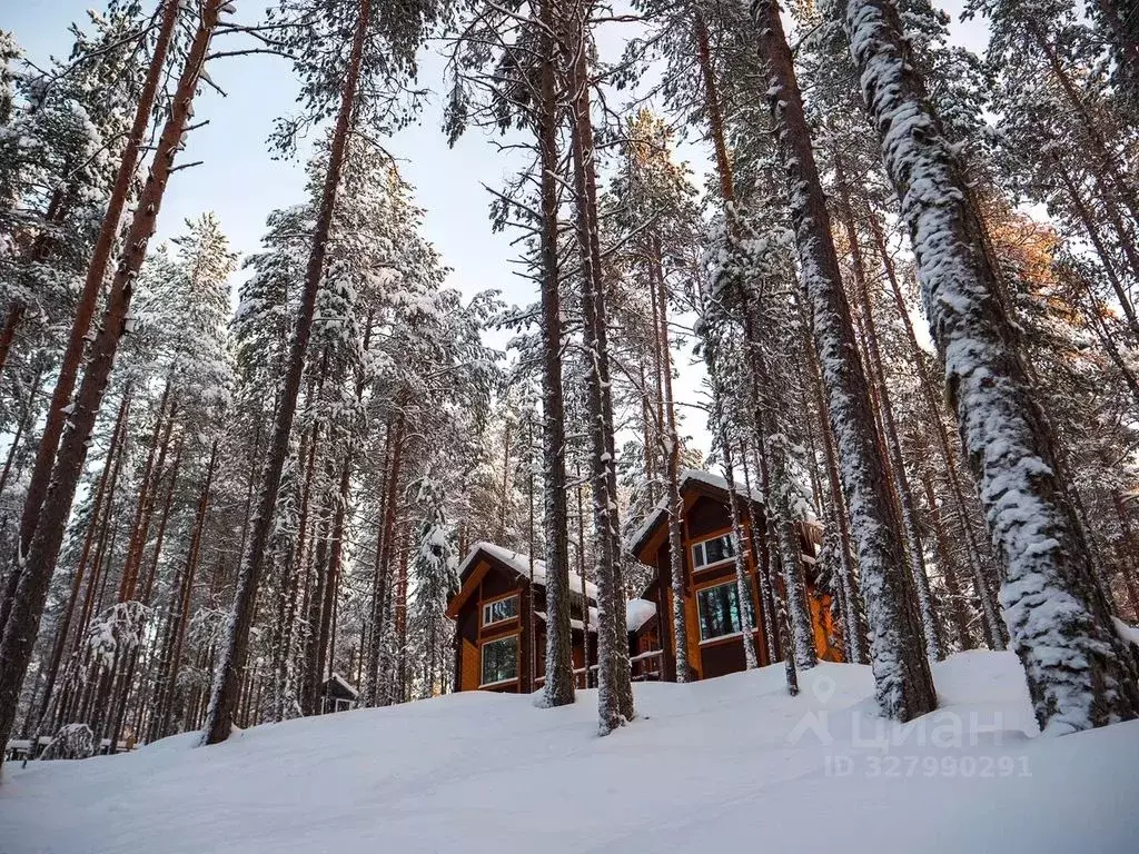Дом в Карелия, Калевала пгт ул. Вяйнямейнена, 136 (20 м) - Фото 2