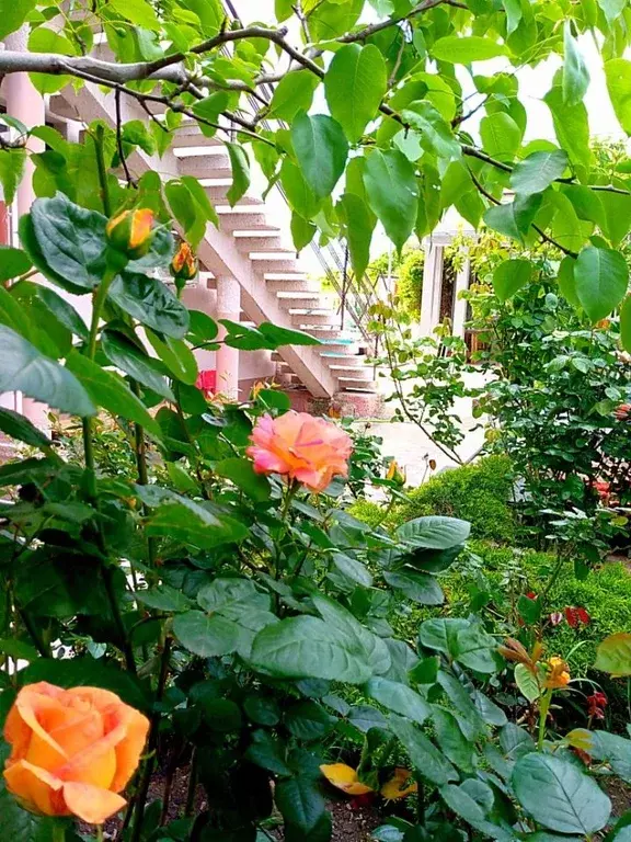 Дом в Краснодарский край, Геленджик пер. Рождественский (320 м) - Фото 2