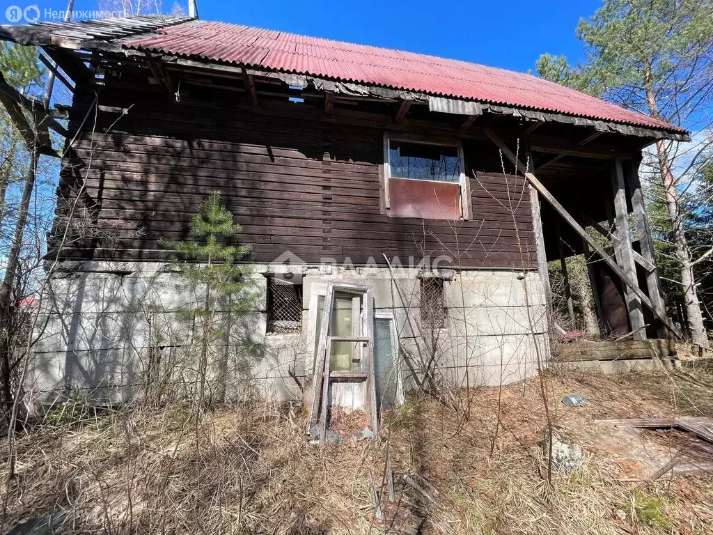 Участок в Выборгский район, Рощинское городское поселение, ... - Фото 1