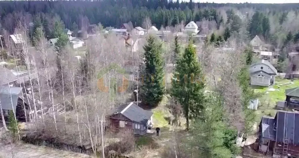 Дом в Ленинградская область, Выборгский район, Рощинское городское ... - Фото 2