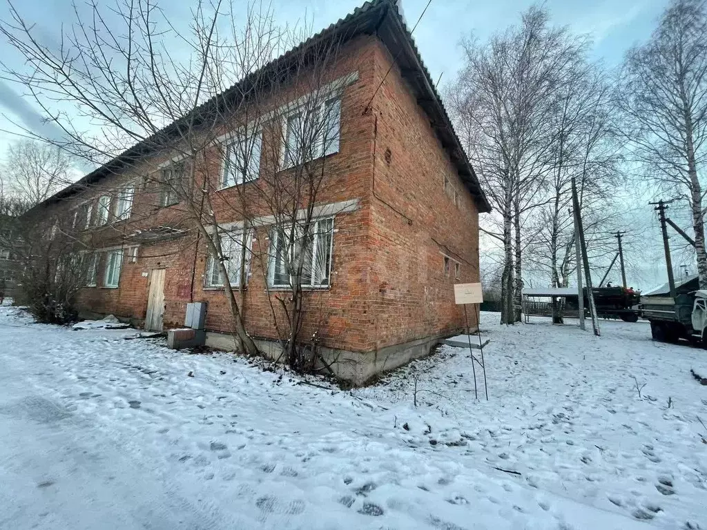 2-к кв. Вологодская область, Череповецкий район, с. Нелазское ... - Фото 1