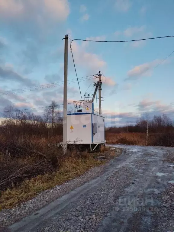 Участок в Тюменская область, Нижнетавдинский муниципальный округ, ... - Фото 1