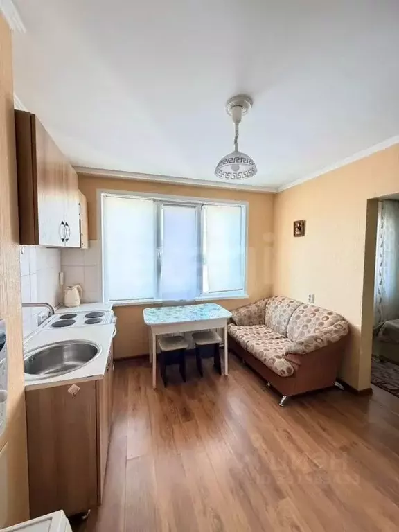 1-к кв. Алтайский край, Барнаул ул. Малахова, 148 (26.0 м) - Фото 1