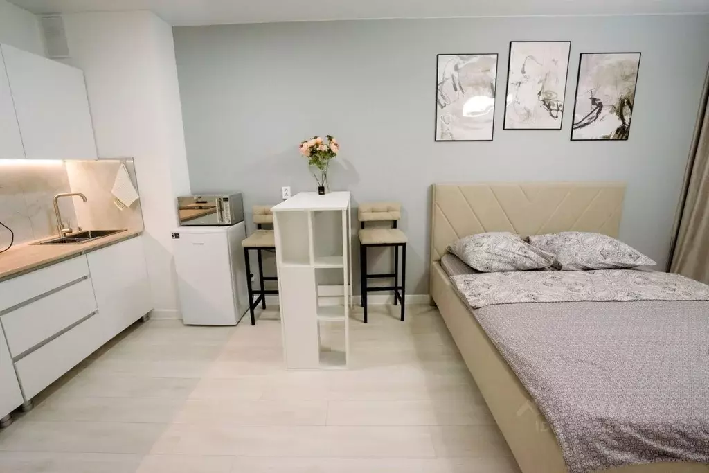 Студия Курская область, Курск ул. Энгельса, 115/4 (28.0 м) - Фото 2