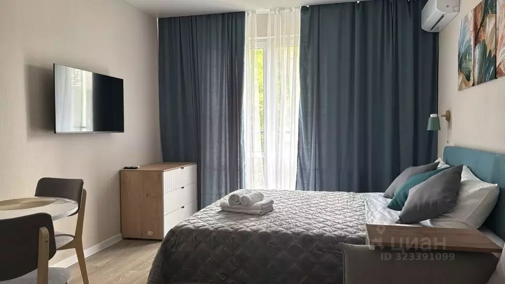 Студия Краснодарский край, Сочи ул. Искры, 88к8 (27.0 м) - Фото 2