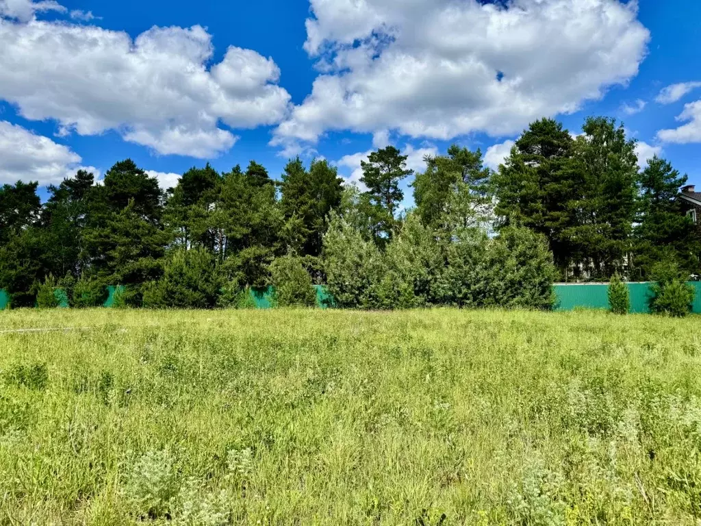 Участок в Московская область, Мытищи городской округ, д. Шолохово ул. ... - Фото 2