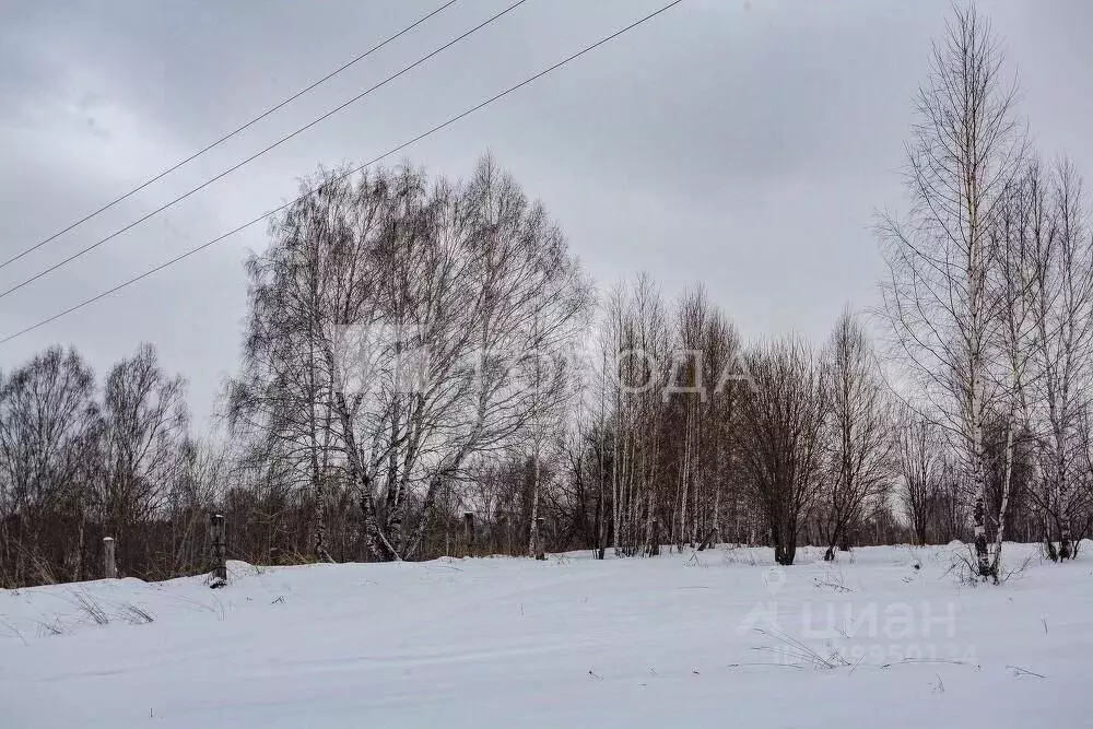Участок в Кемеровская область, Новокузнецкий муниципальный округ, с. ... - Фото 1