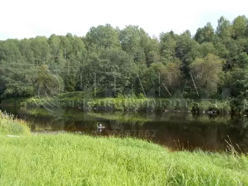 Купить Участок В Лодейнопольском Районе