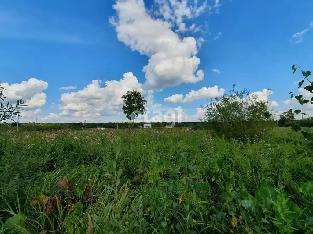 Участок в Новосибирская область, Новосибирский район, Криводановский ... - Фото 1