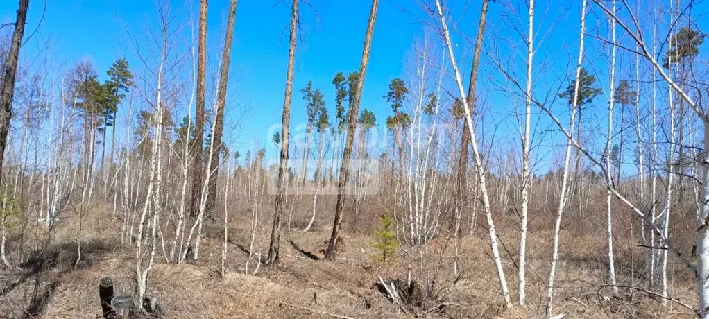 Участок в Забайкальский край, Читинский район, с. Смоленка  (35.99 ... - Фото 0