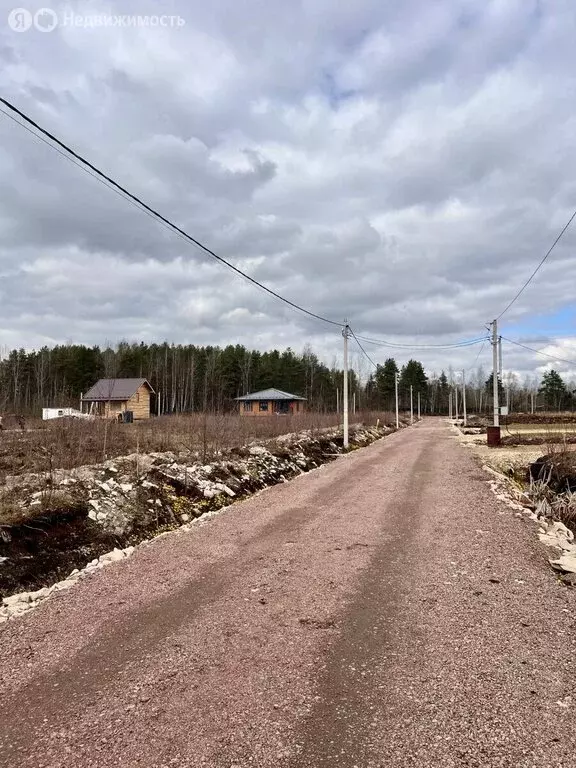 Участок в Ленинградская область, Гатчинский муниципальный округ, СНТ ... - Фото 2