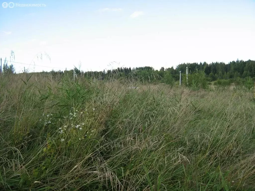 Участок в Гостилицкое сельское поселение (10 м) - Фото 1