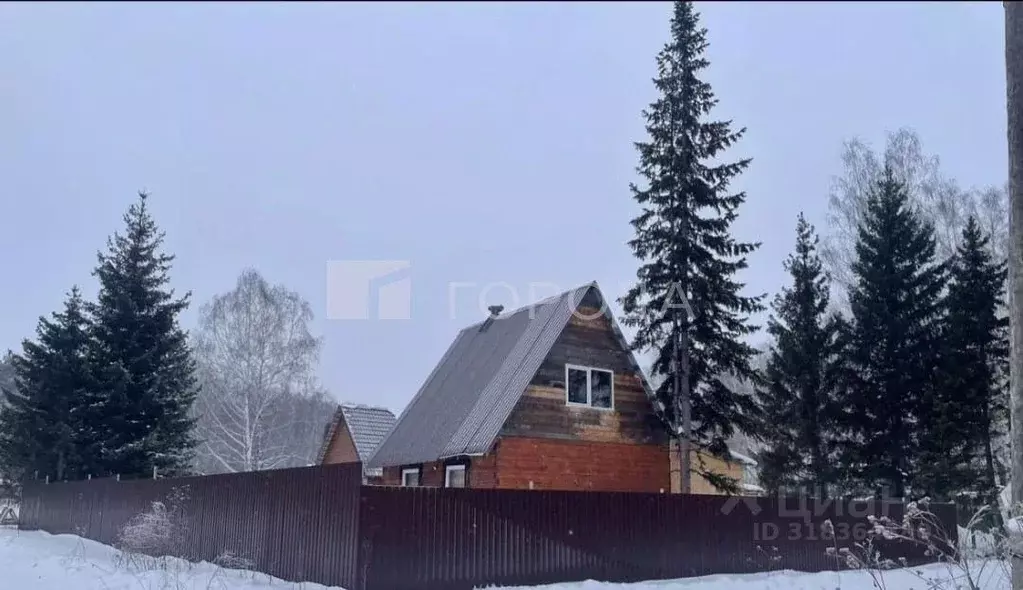 Участок в Кемеровская область, Новокузнецкий муниципальный округ, ... - Фото 1