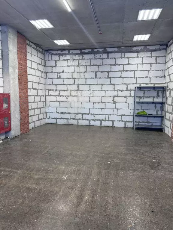 Помещение свободного назначения в Москва ул. Перерва, 11С3 (50 м) - Фото 2