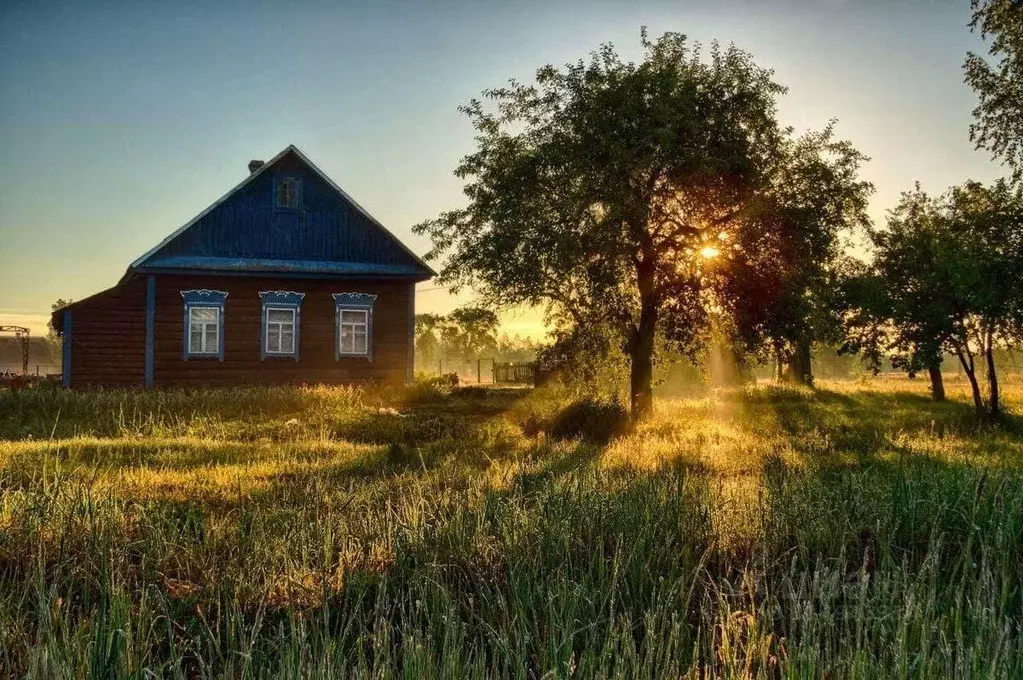 Дом в Костромская область, Островский муниципальный округ, с. ... - Фото 0