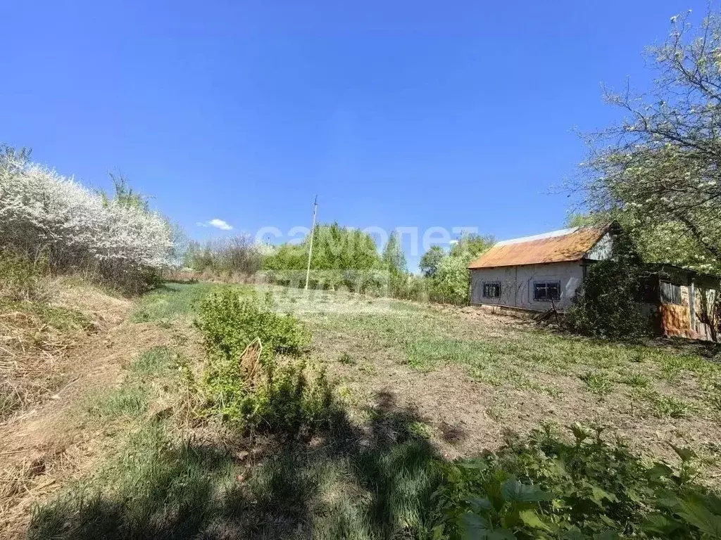 Участок в Амурская область, Благовещенск Игнатьевское ш., 7 (11.0 ... - Фото 0