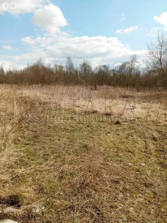 Участок в Кингисеппский район, Большелуцкое сельское поселение, ... - Фото 1