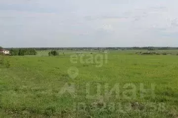 Участок в Оренбургская область, Оренбургский район, пос. Ленина ул. ... - Фото 1