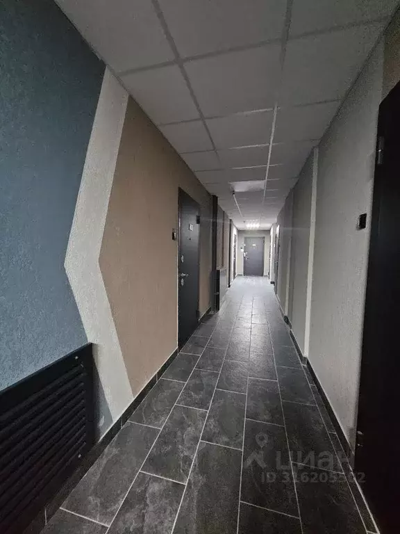 Студия Воронежская область, Воронеж ул. Независимости, 78к1 (15.6 м) - Фото 1