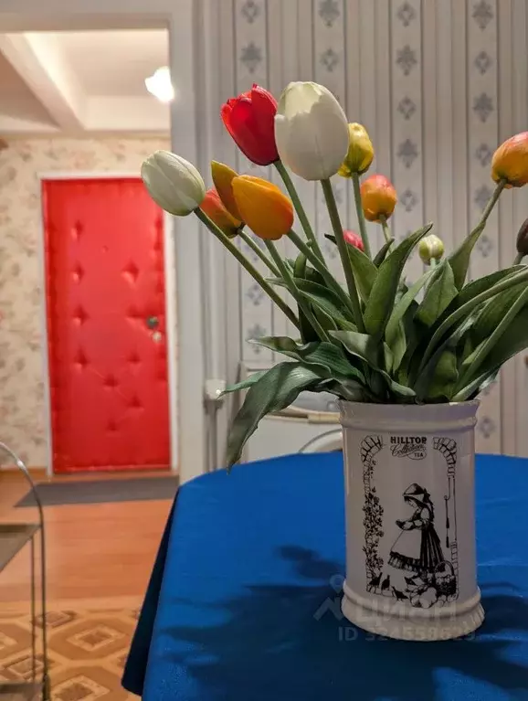 1-к кв. Санкт-Петербург Пискаревский просп., 16 (31.0 м) - Фото 1