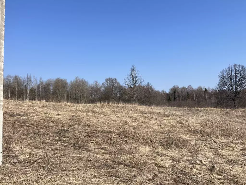 Участок в Владимирская область, Александровский район, ... - Фото 1