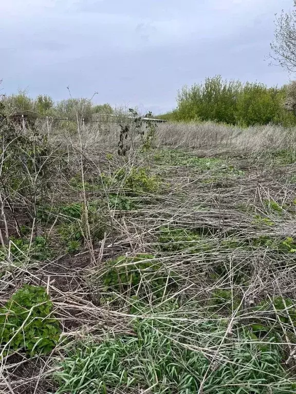 Участок в Татарстан, Зеленодольский район, Нижние Вязовые ... - Фото 0