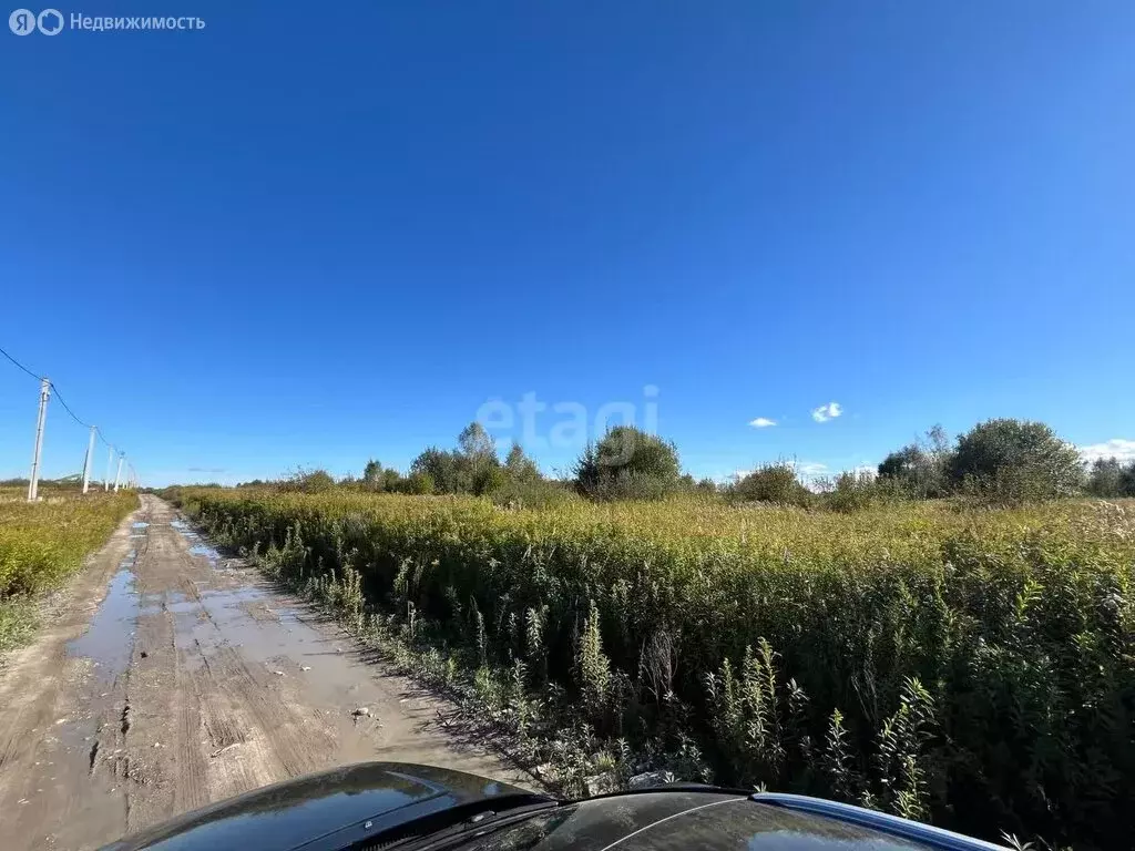 Участок в Калининградская область, Гурьевский муниципальный округ, ... - Фото 1