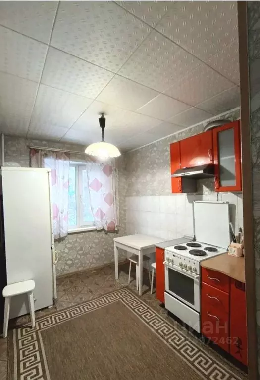 2-к кв. Алтайский край, Барнаул ул. Георгиева, 43 (45.0 м) - Фото 1