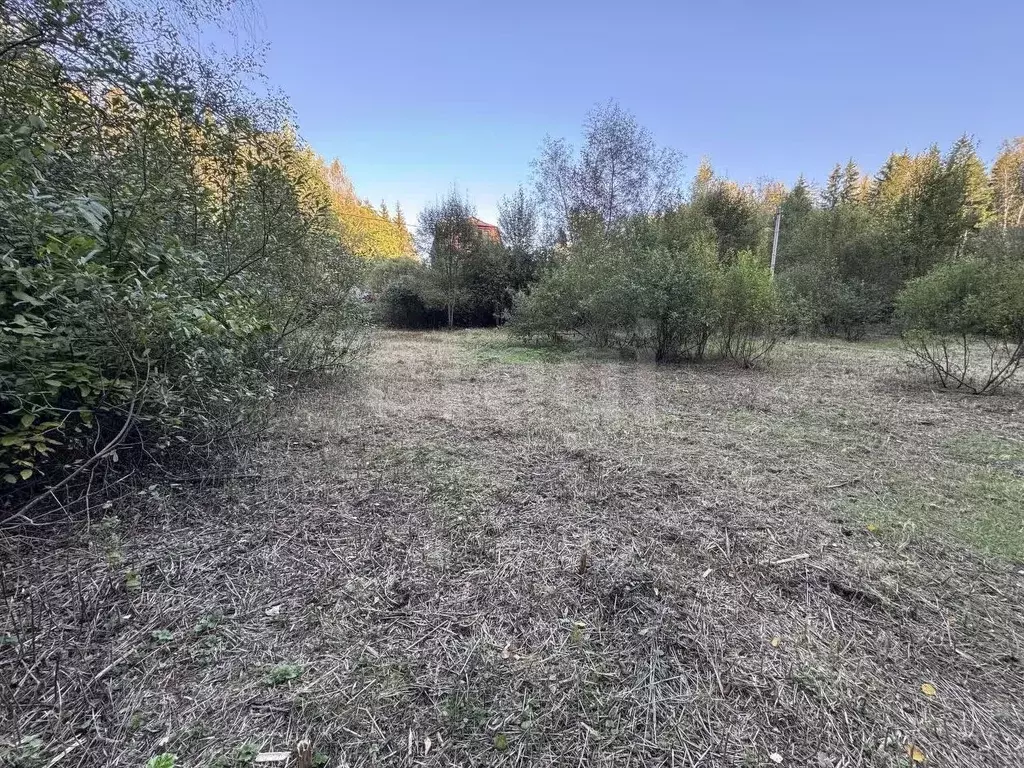 Участок в Московская область, Рузский муниципальный округ, Полянка ... - Фото 2