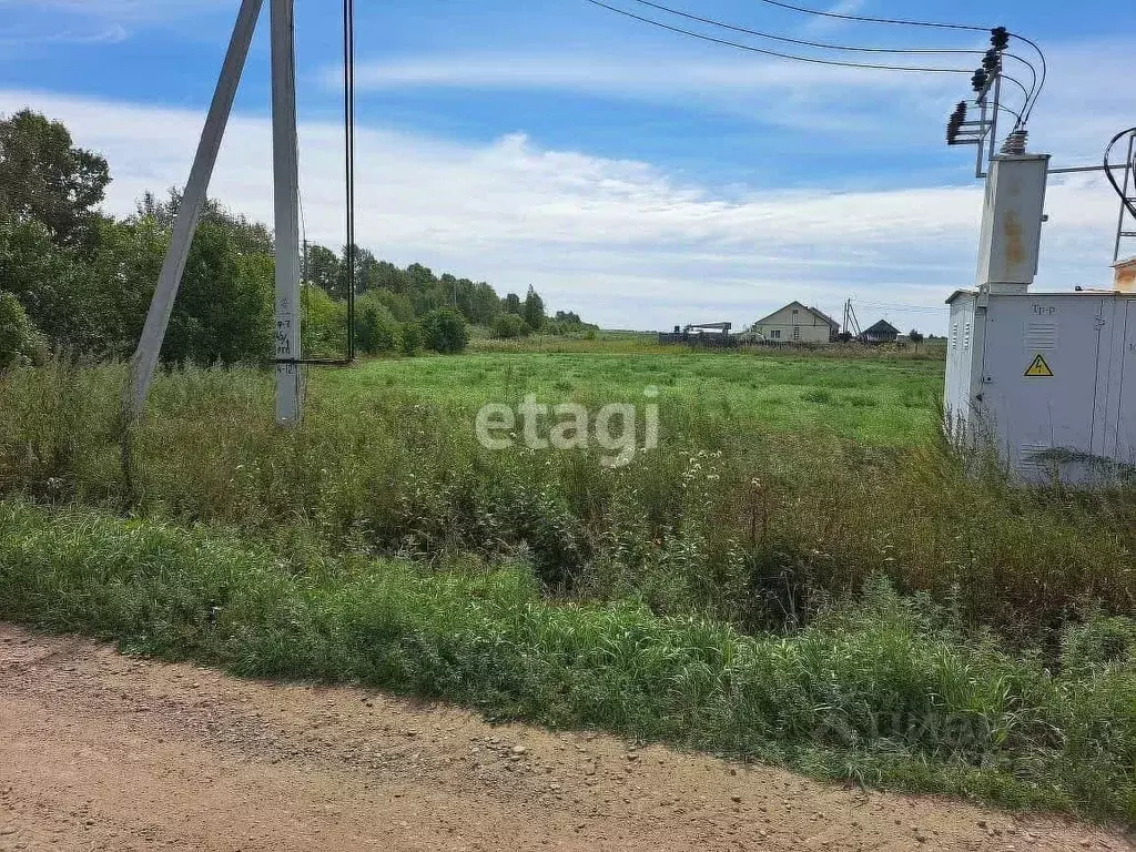 Участок в Амурская область, Благовещенский район, с. Грибское ул. ... - Фото 1