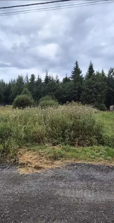 Участок в Ленинградская область, Всеволожский район, Лесколовское ... - Фото 1
