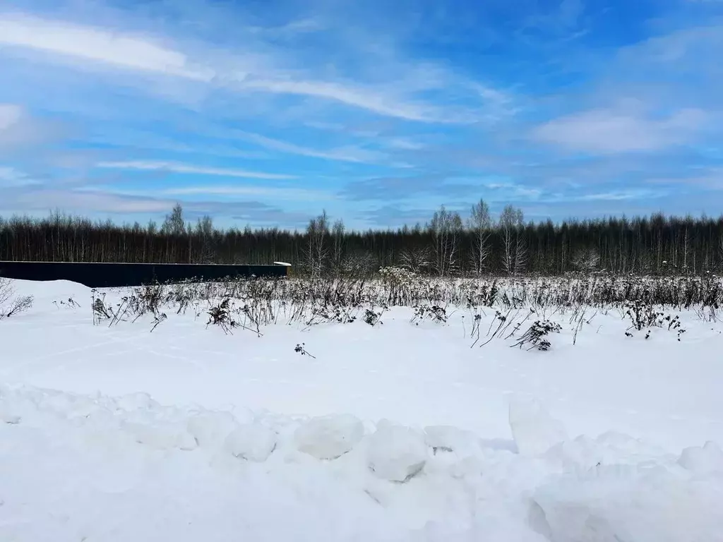 Участок в Московская область, Раменский муниципальный округ, Оттепель ... - Фото 1