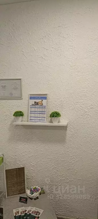 Помещение свободного назначения в Липецкая область, Липецк Звездная ... - Фото 2