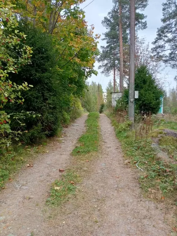 Участок в Ленинградская область, Выборгский район, Гончаровское с/пос, ... - Фото 1