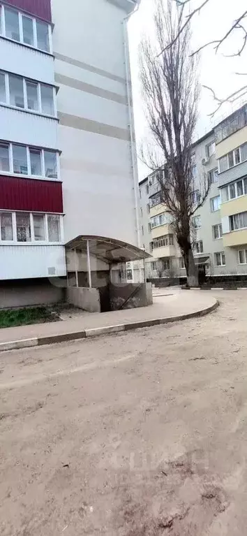 Помещение свободного назначения в Белгородская область, Белгород ... - Фото 2