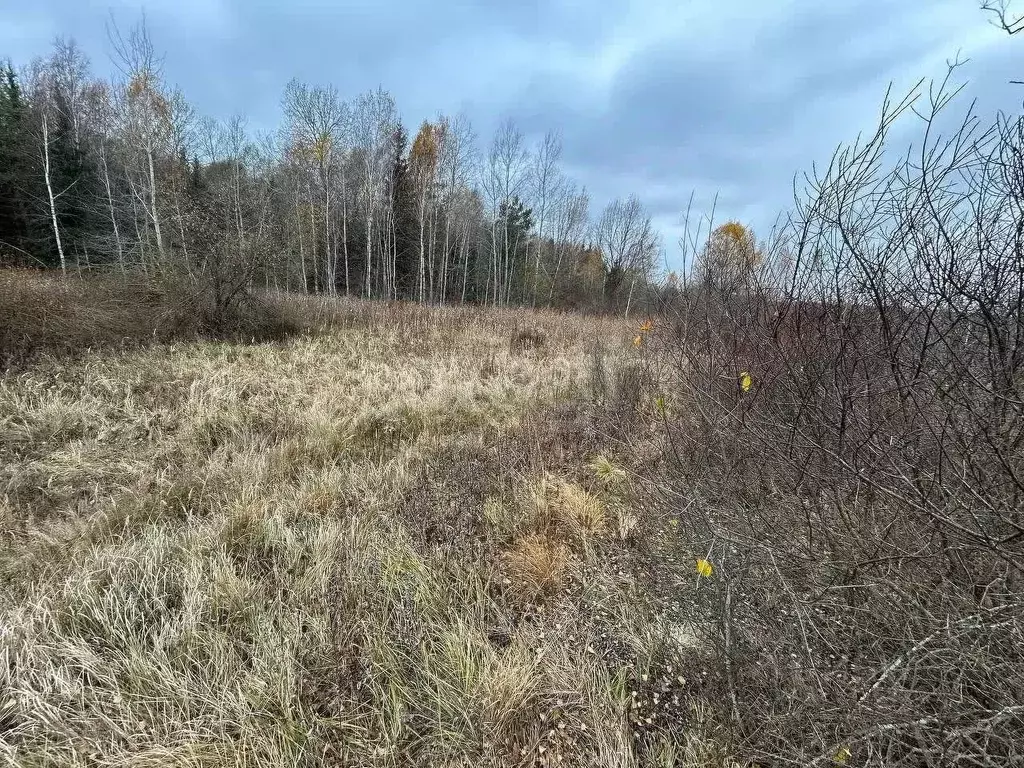 Участок в Брянская область, Брянский район, Нетьинское с/пос, пос. ... - Фото 2