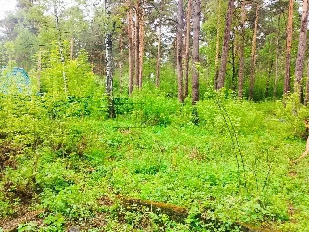 Участок в Новосибирская область, Новосибирский район, Мочищенский ... - Фото 2