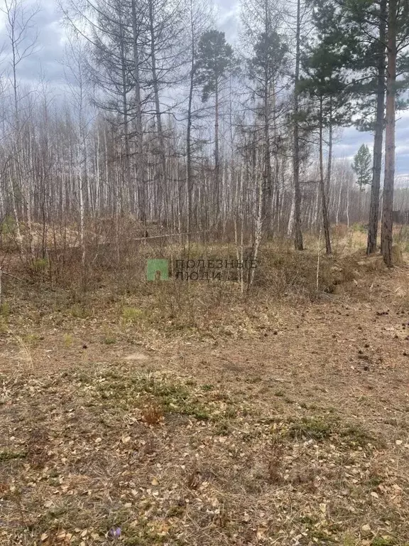 Участок в Забайкальский край, Читинский район, с. Смоленка  (10.0 ... - Фото 1