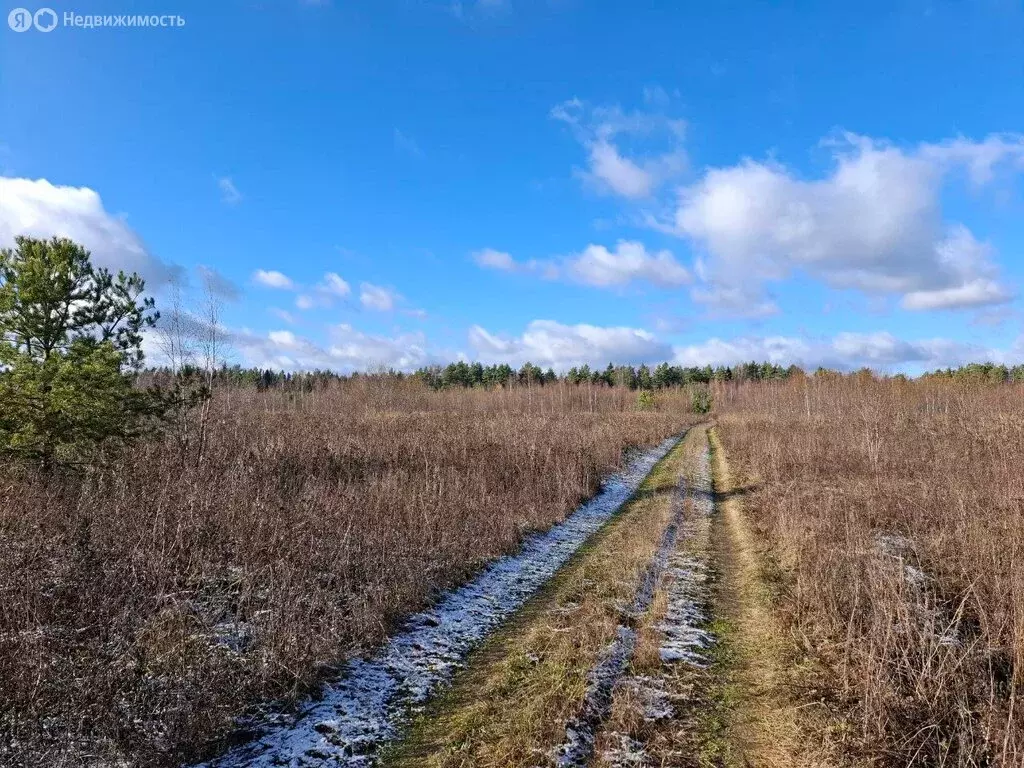 Участок в Киржачский район, муниципальное образование Горкинское, ... - Фото 1