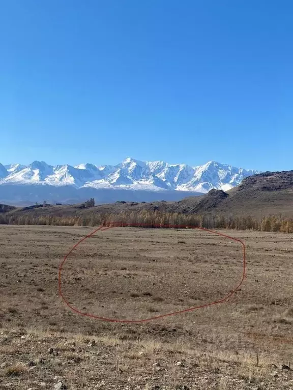 Участок в Алтай, Кош-Агачский район, с. Курай  (100.0 сот.) - Фото 2