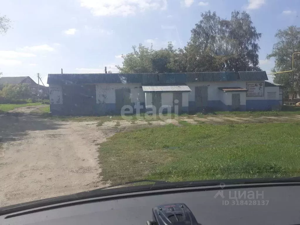 Торговая площадь в Мордовия, Ардатовский район, Тургенево рп ул. ... - Фото 1