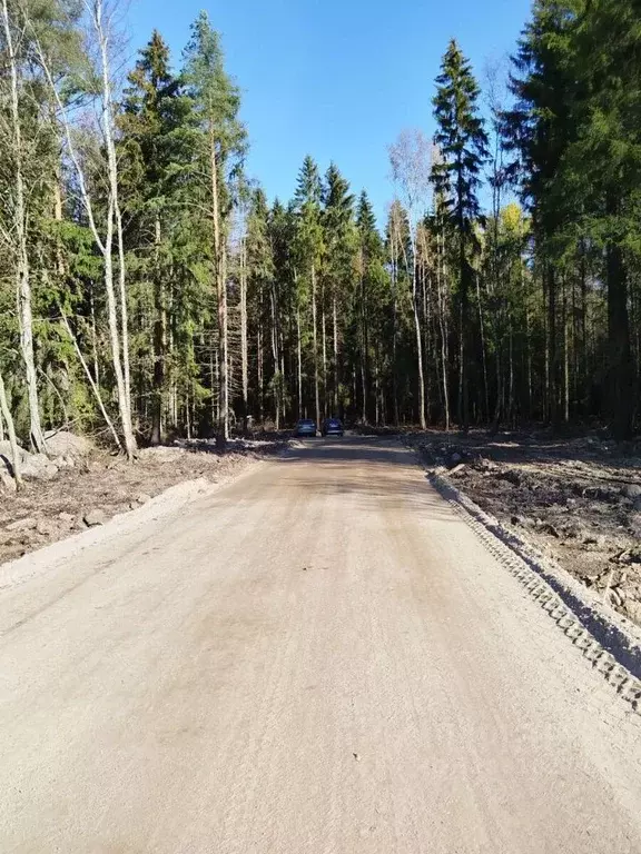 Участок в Ленинградская область, Всеволожск  (37.5 сот.) - Фото 2