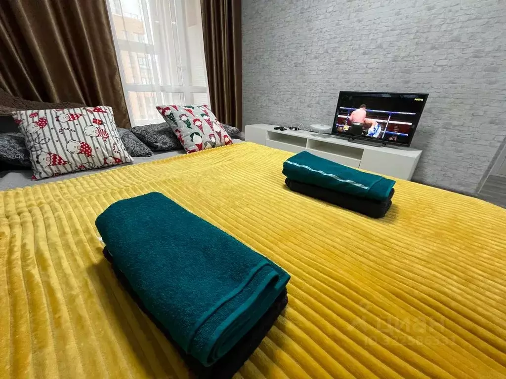 2-к кв. Удмуртия, Ижевск ул. 10 лет Октября, 75/1 (50.0 м) - Фото 2