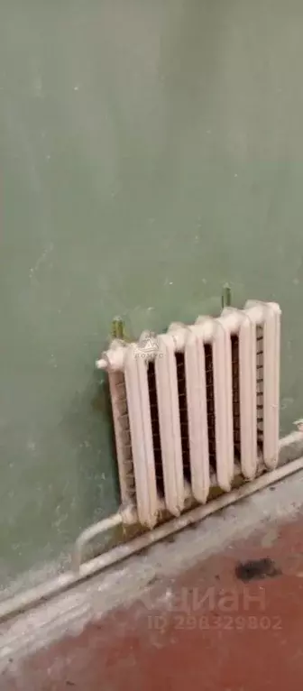 Торговая площадь в Московская область, Раменский муниципальный округ, ... - Фото 2