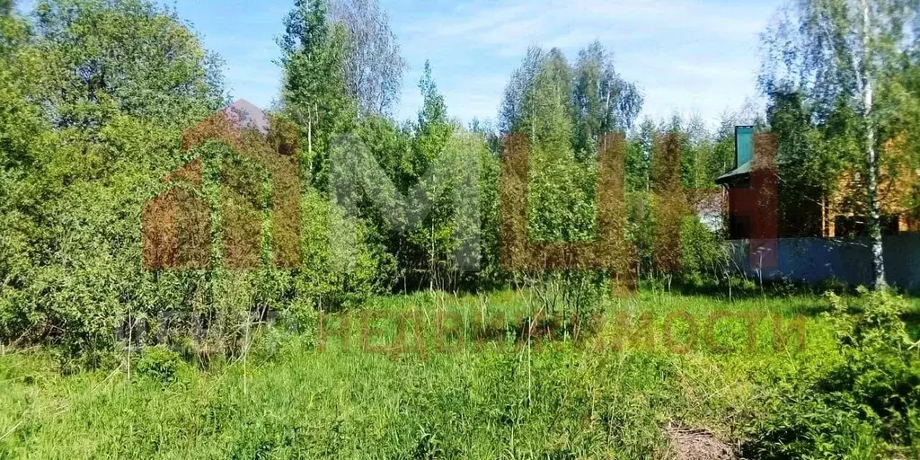 Участок в Тверская область, Конаковский муниципальный округ, Козлово ... - Фото 1