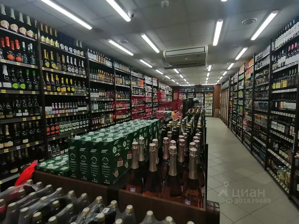 Торговая площадь в Пензенская область, Кузнецк ул. Дарвина (815 м) - Фото 2